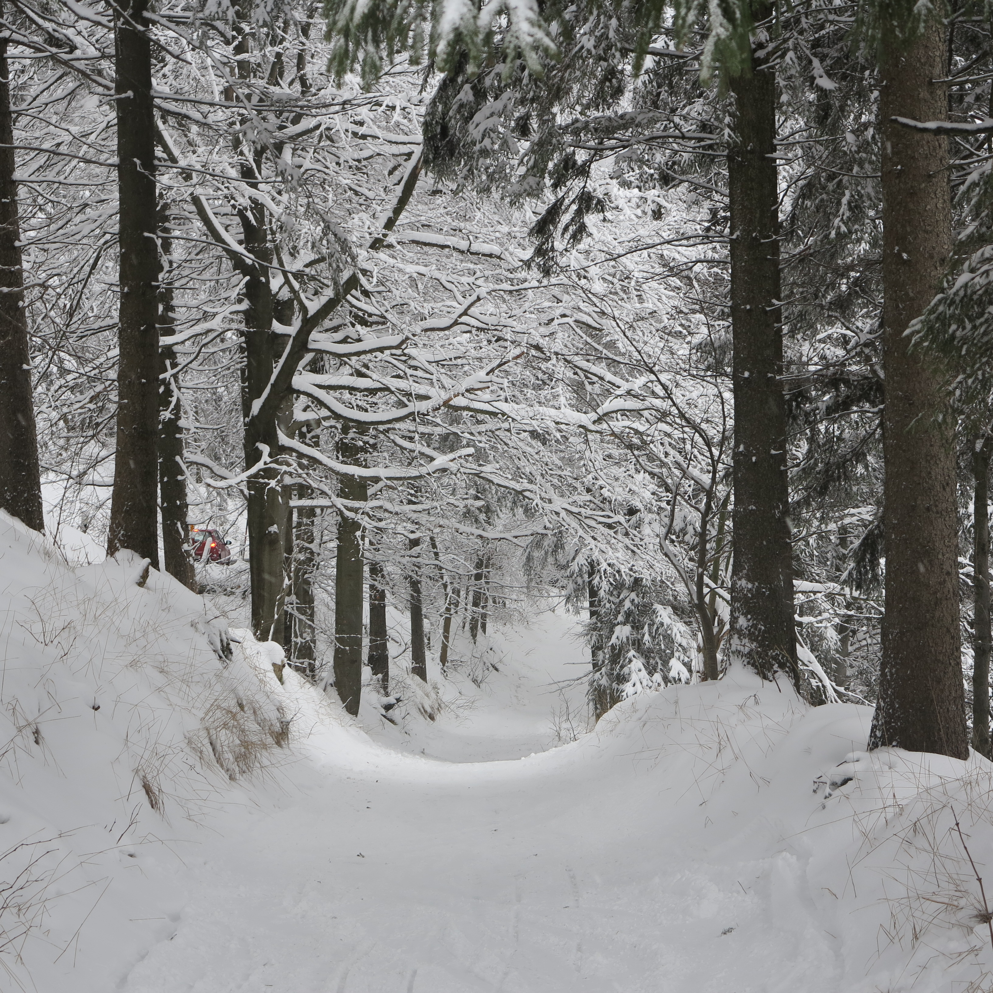Bildquelle Rainer Goral